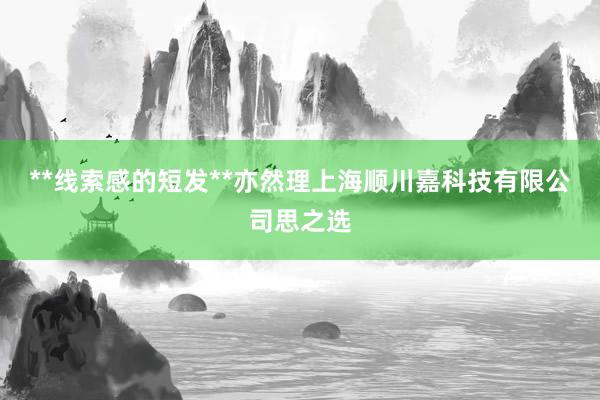 **线索感的短发**亦然理上海顺川嘉科技有限公司思之选